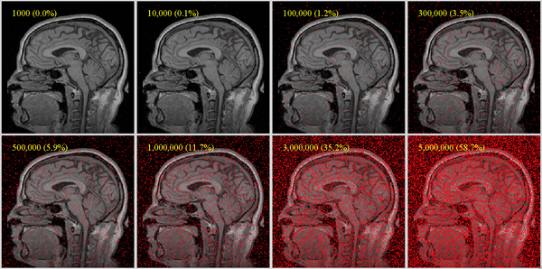 sample point densities on one slice of a brain MRI with 256x256x130 voxels; for robust registration, we recommend a useful coverage requires at least 1% coverage for affine, more (at least 5%)  for nonrigid (BSpline) as DOF increase