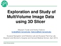 MultiVolumeExplorer Meysam SNR-April2013-v4.pdf